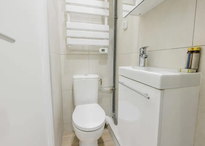 Apartment Cosy - Bastille - Mobility Lease *